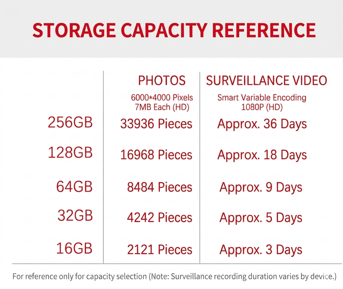 Kingston Canvas Select Plus storage capacity reference photos and surveillance video